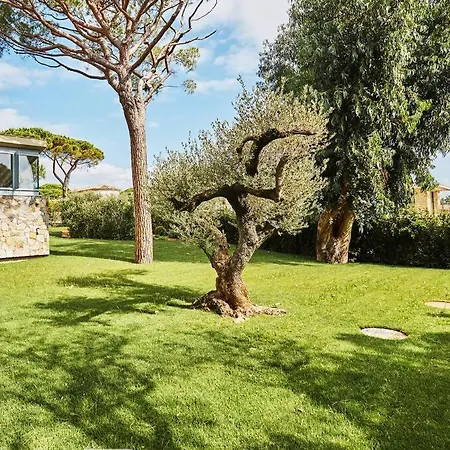 Calanque, * Saint-Tropez